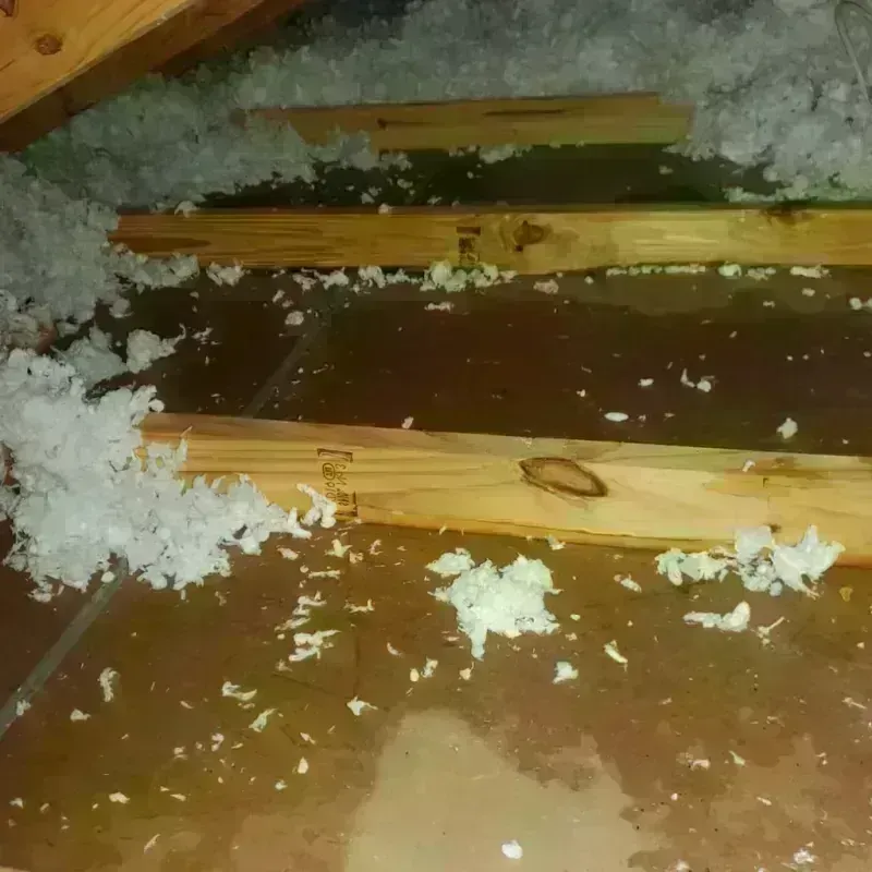 Attic Water Damage in Johnson County, IL