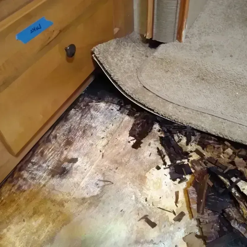 Wood Floor Water Damage in Johnson County, IL